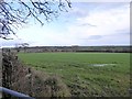 Field on Gittisham Hill