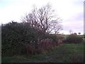 Footpath from Anstey to Cropston Reservoir