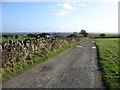 The track to Gill Field Farm