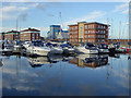 Hartlepool Marina