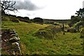 Path To Llain Waun Isaf and Uchaf And Blaen Waen, Llanychaer