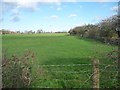 Farmland west of East Lilling