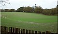 Field by the A303