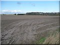 Farmland south of East Lilling Farm