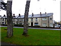 Woodside Terrace, Omagh