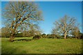 Fields at Balmesh