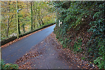 SS7249 : Footpath off Lynmouth Hill (road), Lynmouth by Ian S