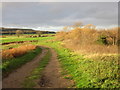 Footpath to Whitefield Lane