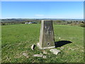 Field view from the Triangulation Pillar at Pen Moel Dihewyd