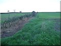 SE6765 : New hedge along a field boundary by Christine Johnstone