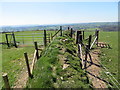 Field boundary fencing and diversion round Triangulation Pillar at Pen Moelhedog