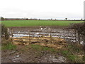 Field entrance on Old Wharf Road