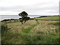 J3826 : Path south-eastwards across the grave yard at St Mary's, Ballghanery by Eric Jones