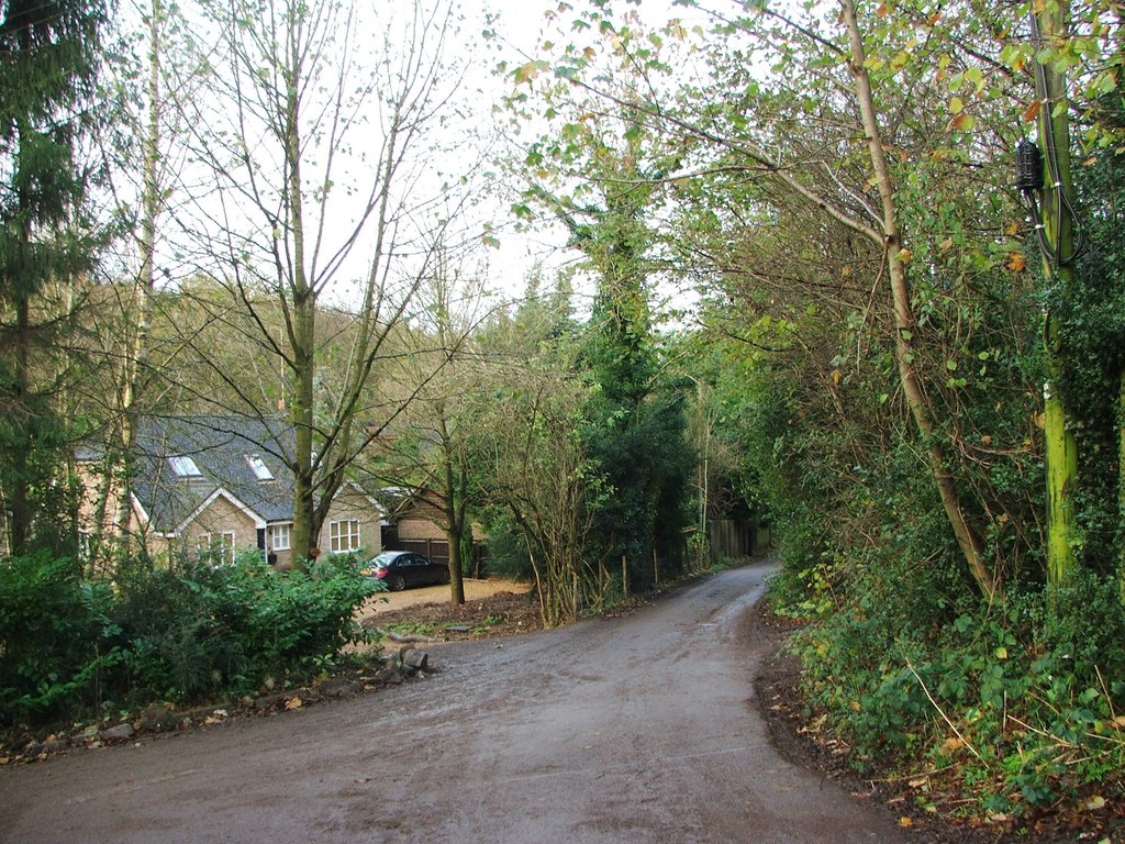 Rhododendron Avenue, Culverstone Green © Chris Whippet Geograph