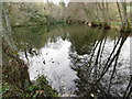 Fish Pond, Swanton Valley