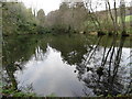 Fish Pond, Swanton Valley