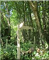SY3393 : Bridleway signpost near Old Mill by Derek Harper