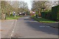 Moulsham Copse Lane, Yateley