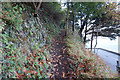 Path leading up towards Lynton