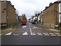 Langler Road, with heavily pruned roadside trees