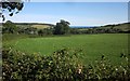 Farmland near Wootton Fitzpaine