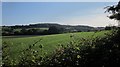 Farmland west of Wootton Fitzpaine