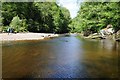 River Allen in the Staward Gorge