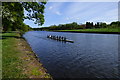 Rowing on the river Wansbeck