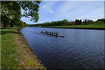 NZ2686 : Rowing on the river Wansbeck by Clive Nicholson