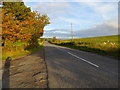 NT6010 : Road (A6088) at Doorpool Cottages by Peter Wood