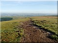 SD8041 : Path heading south from Pendle Hill trig pillar by Adam C Snape