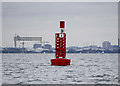 J4385 : No.2 Buoy, Belfast Lough by Rossographer