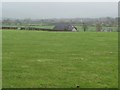 Pasture near Pengelli Isaf