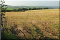 Field west of Horningtops