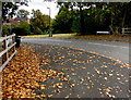SJ5441 : Dead leaves on a Whitchurch (Shropshire) corner by Jaggery