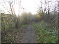 Bridleway through Ruislip Woods