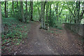 The Cotswold Way in Buckholt Wood