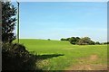 Field near Penquite