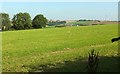 Grass field near Brendon