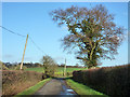 Lane towards Great Chilmington