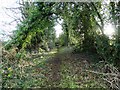 SK3658 : Old track off School Lane, Mathersgrave by Neil Theasby