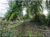 SK3658 : Old track off School Lane, Mathersgrave by Neil Theasby