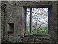 SK3559 : Within the ruin of Trinity Chapel, Brackenfield by Neil Theasby