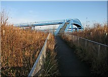 TL3759 : Hardwick: A428 footbridge by John Sutton