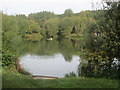 Fishing pond between Alders Farm and Oak Wood