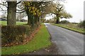 Road passing Firs Farm