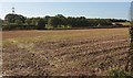 Harvested field by the B3226