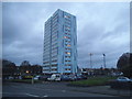 TQ2564 : Tower block by Collingwood Road, Sutton by David Howard
