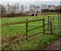 Railway embankment near Cosford