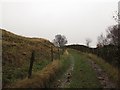 Track above Sunny Bank